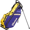 Minnesota Vikings