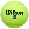 image:imageWILSON Championship Tennis BallsExtra Duty