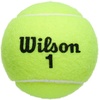 image:imageWILSON Championship Tennis BallsRegular Duty