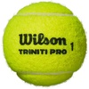 image:imageWILSON Triniti Pro Tennis Balls  3 Balls Yellow