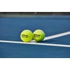 image:imageWILSON Triniti Pro Tennis Balls  3 Balls Yellow