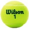 image:imageWILSON US Open Youth Tennis BallsGreen