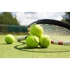 image:imageWilson Extra Duty Tennis BallYellow