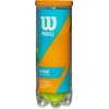 image:imageWilson Profile All Court Tennis Balls  Single Can 4 Cans 12 Balls 24 Cans 72 BallsYellow
