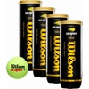 image:imageWilson US Open Tennis BallsExtra Duty