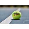 image:imageWilson US Open Tennis BallsExtra Duty