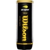 image:imageWilson US Open Tennis BallsExtra Duty