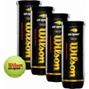 image:imageWilson US Open Tennis BallsRegular Duty
