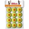 image:imageWilson Starter Tennis Balls  3 balls12 Balls