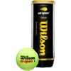 image:imageWilson US Open Tennis BallsExtra Duty