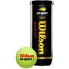 image:imageWilson US Open Tennis BallsRegular Duty