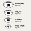 image:imageWILSON GST Leather Game Footballs  Multiple Sizes  SylesBrownGreen