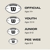 image:imageWILSON Mini  Official NFL Duke Footballs  Multiple StylesBrown