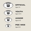 image:imageWILSON NFL MVP FootballGrey