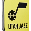 image:imageWILSON NBA Collection Fierce Team Pickleball Paddles  Grip Size 24 14Utah Jazz