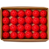 image:imageWILSON TRU 32 Pro Pickleball Case  48 Balls Red