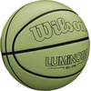 image:imageWILSON Basketball295