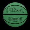 image:imageWILSON Basketball295