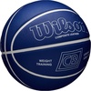 image:imageWILSON Chris Brickley Training BasketballsSize 6  285