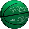 image:imageWILSON Chris Brickley Training BasketballsSize 7  295