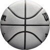 image:imageWILSON NBA Alliance Series Basketballs  Size 7 and Mini SizePlatinum