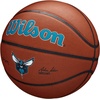 image:imageWILSON NBA Team Alliance Basketballs  Size 7295Charlotte Hornets