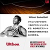 image:imageWILSON NBA Team Alliance Basketballs  Size 7295Los Angeles Lakers