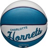 image:imageWILSON NBA Team Retro Mini Basketballs  Mini Size  3Charlotte Hornets