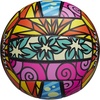 image:imageWilson AVP Hawaii Outdoor Volleyball  Frisbee KitBlueYellowOrangePink