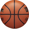 image:imageWilson Evolution BasketballsBrown