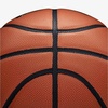 image:imageWilson Evolution BasketballsBrown