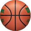 image:imageWilson Evolution BasketballsGreenBrown