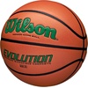 image:imageWilson Evolution BasketballsGreenBrown