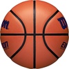 image:imageWilson Evolution BasketballsNavyBrown