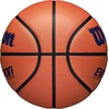 image:imageWilson Evolution BasketballsNavyBrown