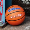 image:imageWilson Evolution BasketballsRedWhiteBlue