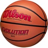 image:imageWilson Evolution BasketballsScarletBrown