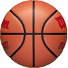 image:imageWilson Evolution BasketballsScarletBrown