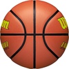 image:imageWilson Evolution BasketballsYellowBrown