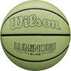 image:imageWILSON Basketball295