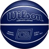 image:imageWILSON Chris Brickley Training BasketballsSize 6  285