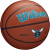 Charlotte Hornets