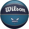 image:imageWILSON NBA Team Tribute Basketballs  Size 7295Charlotte Hornets