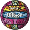 image:imageWilson AVP Hawaii Outdoor Volleyball  Frisbee KitBlueYellowOrangePink
