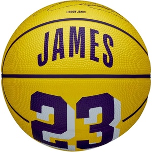 image:imageWILSON NBA Player Icon Basketballs  Size 3 and Size 7Lebron James