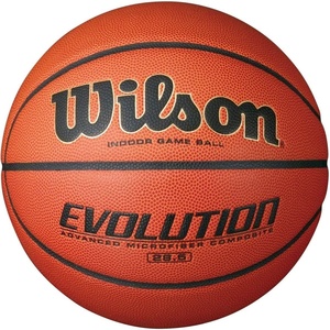 image:imageWilson Evolution BasketballsBlack