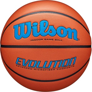 image:imageWilson Evolution BasketballsBrown