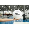 image:imageWILSON Thrive Indoor Game VolleyballsBlackWhite