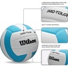 image:imageWilson Pro Tour IndoorTealWhite